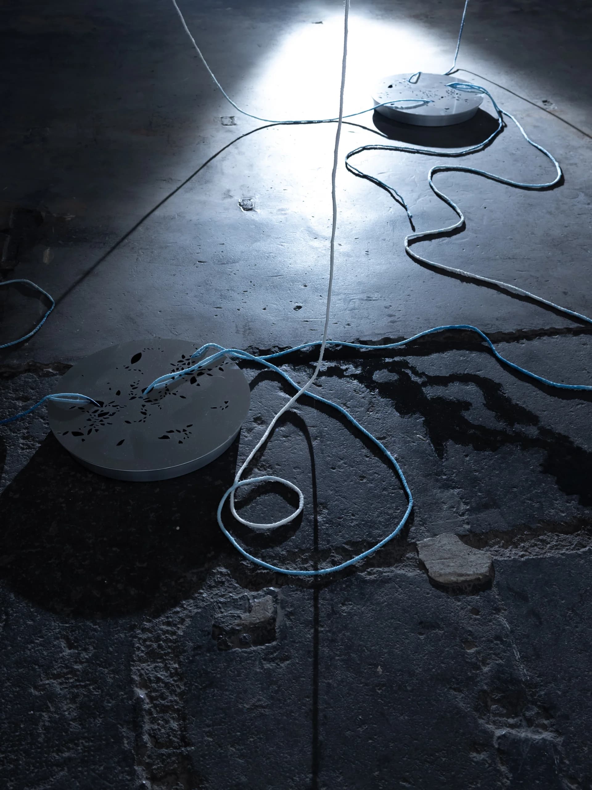 PRODLOUŽENO: Swamp Desires BINDING SITES II (Výstava)